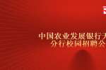 天津招聘中国农业发展银行天津市分行校园招聘公告（25人）